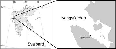 Shallow-Water Scavengers of Polar Night and Day – An Arctic Time-Lapse Photography Study